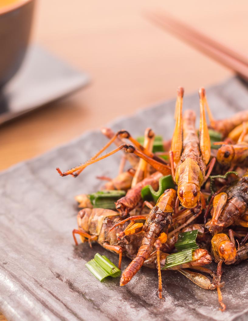 Global edible insects market 2024-2028