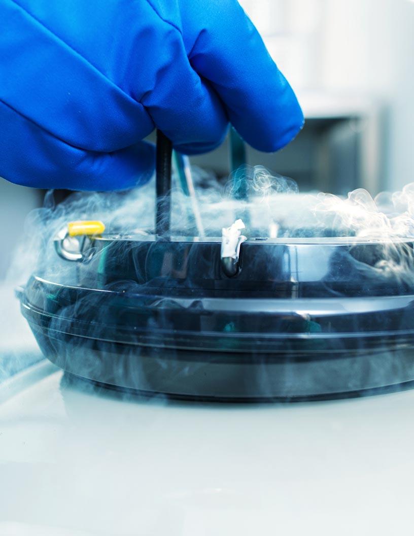 Global Cryogenic Insulation Market 2024-2028