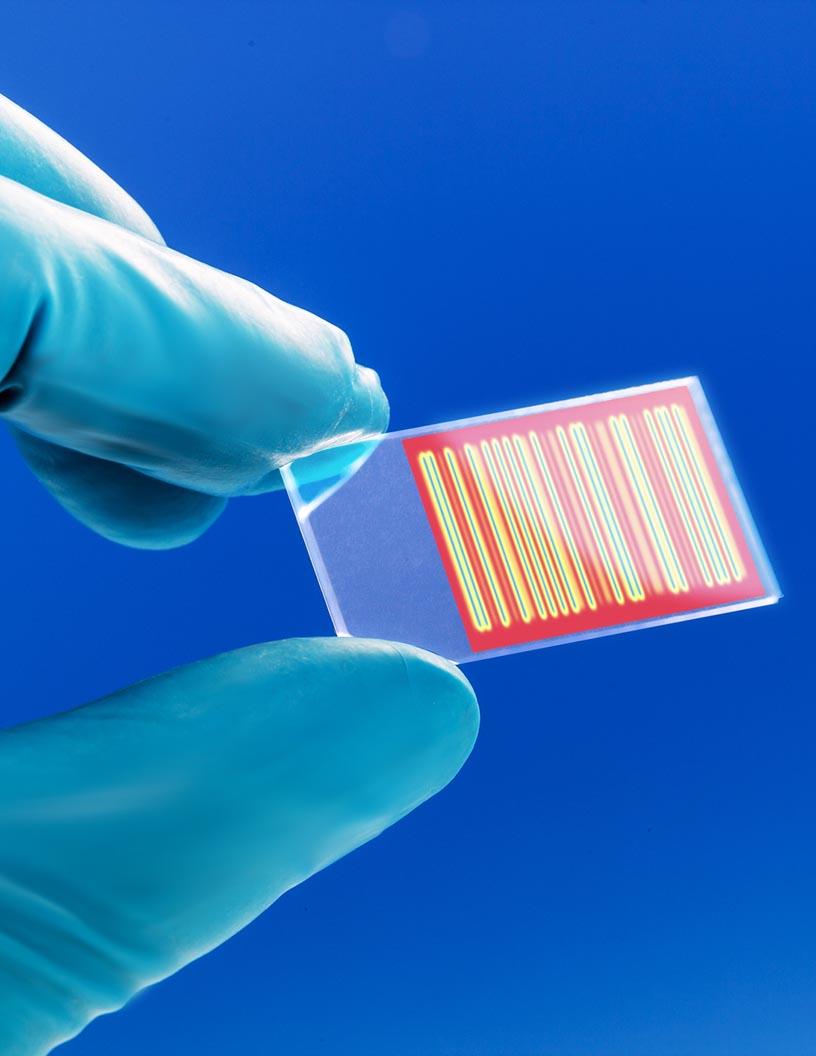 Global affinity chromatography reagents market 2024-2028