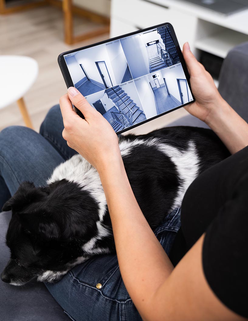 Global pet monitoring camera market 2024-2028