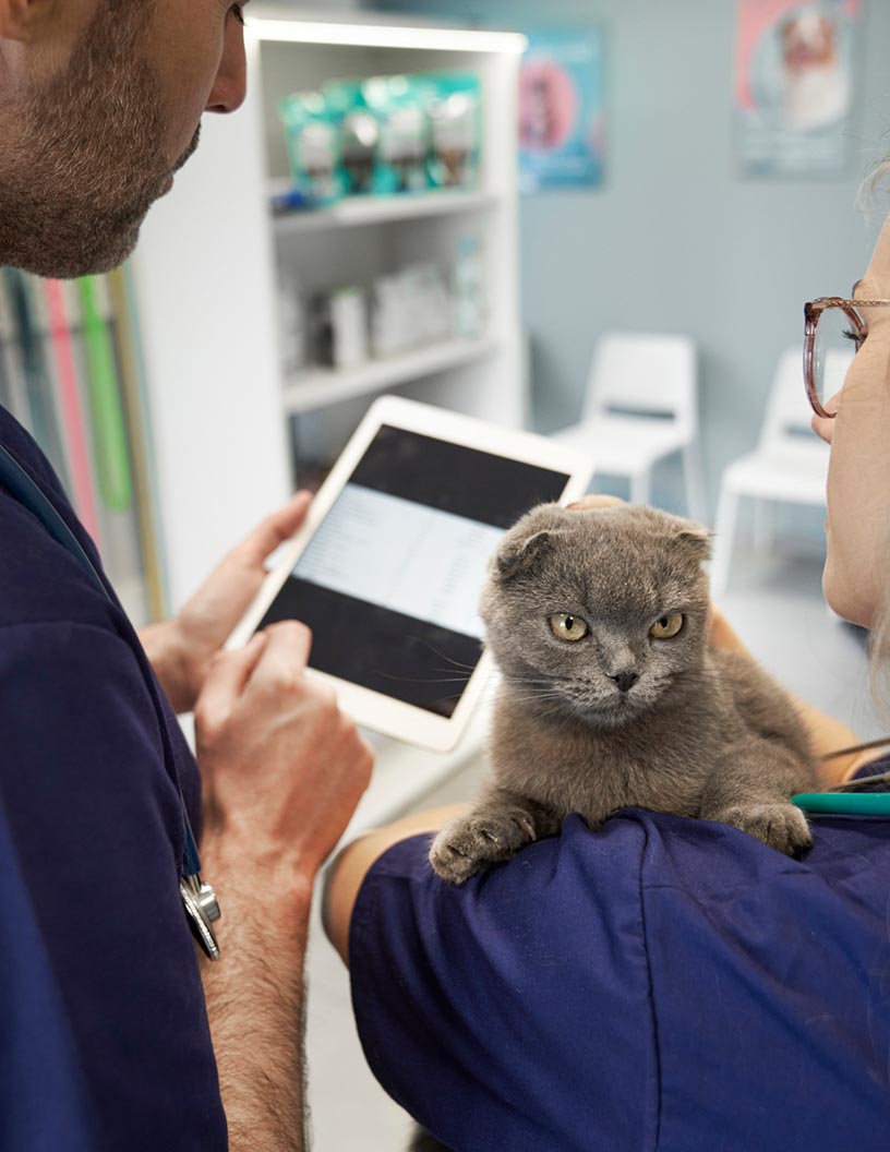 Global veterinary software market 2024-2028