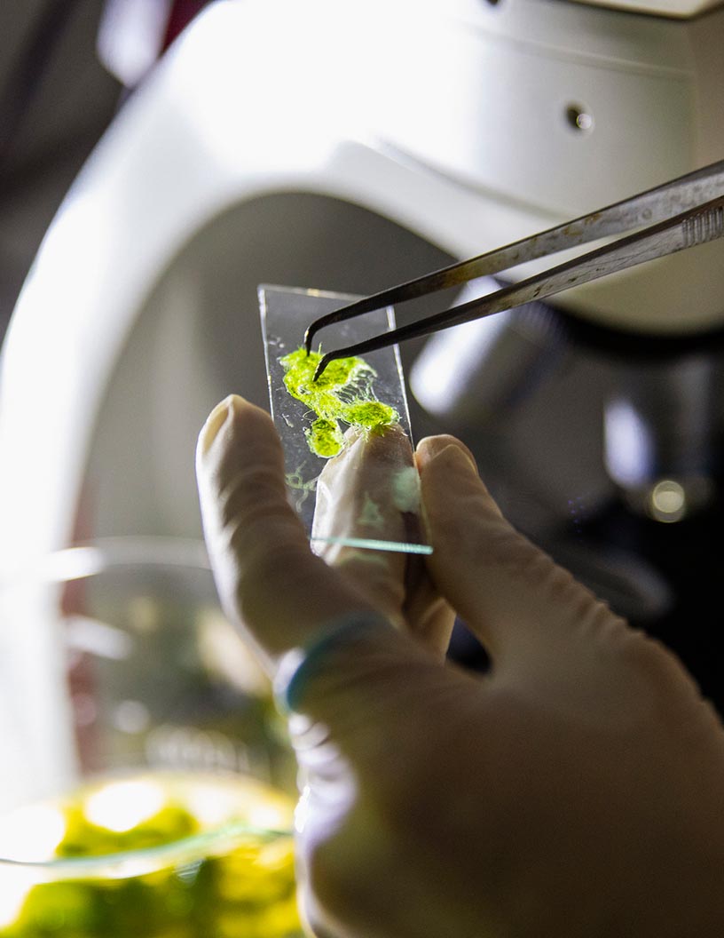 Global Cell Surface Markers Market 2024-2028