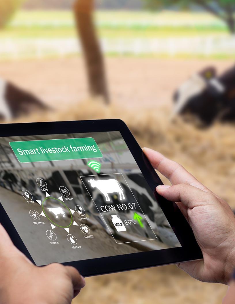 Global Livestock Monitoring Market 2024-2028