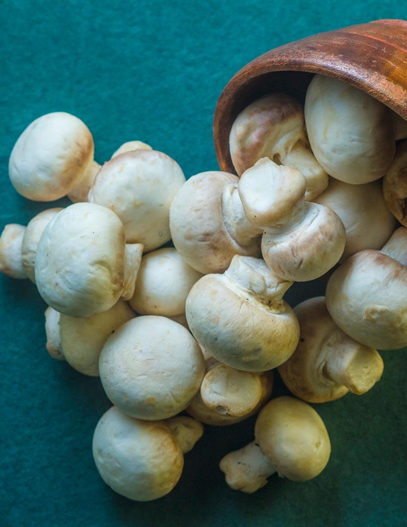 Global mushroom market 2024-2028