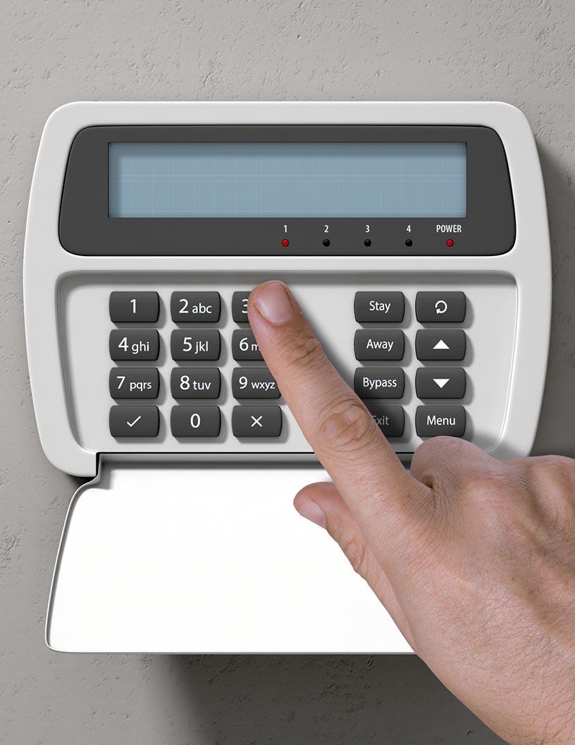 Global Intrusion Detection System Market 2024-2028
