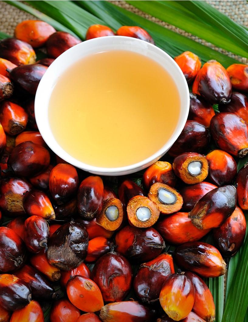 Global Palm Oil Market 2025-2029
