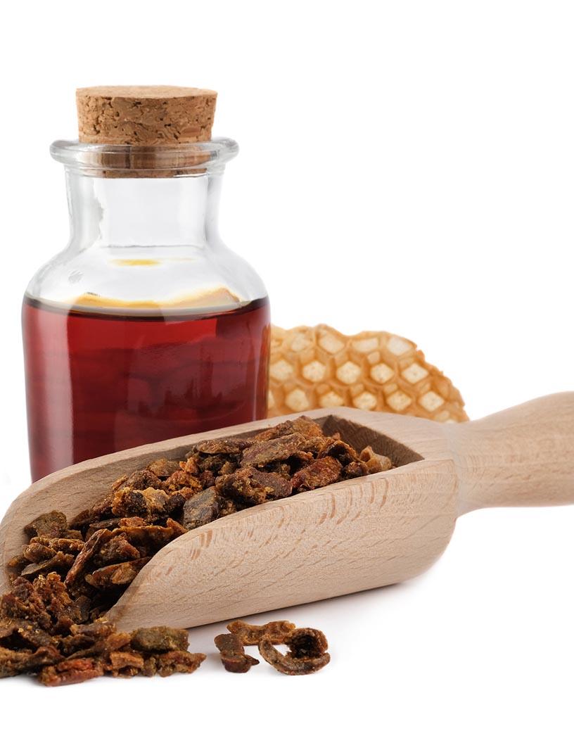 Global Propolis Market 2025-2029