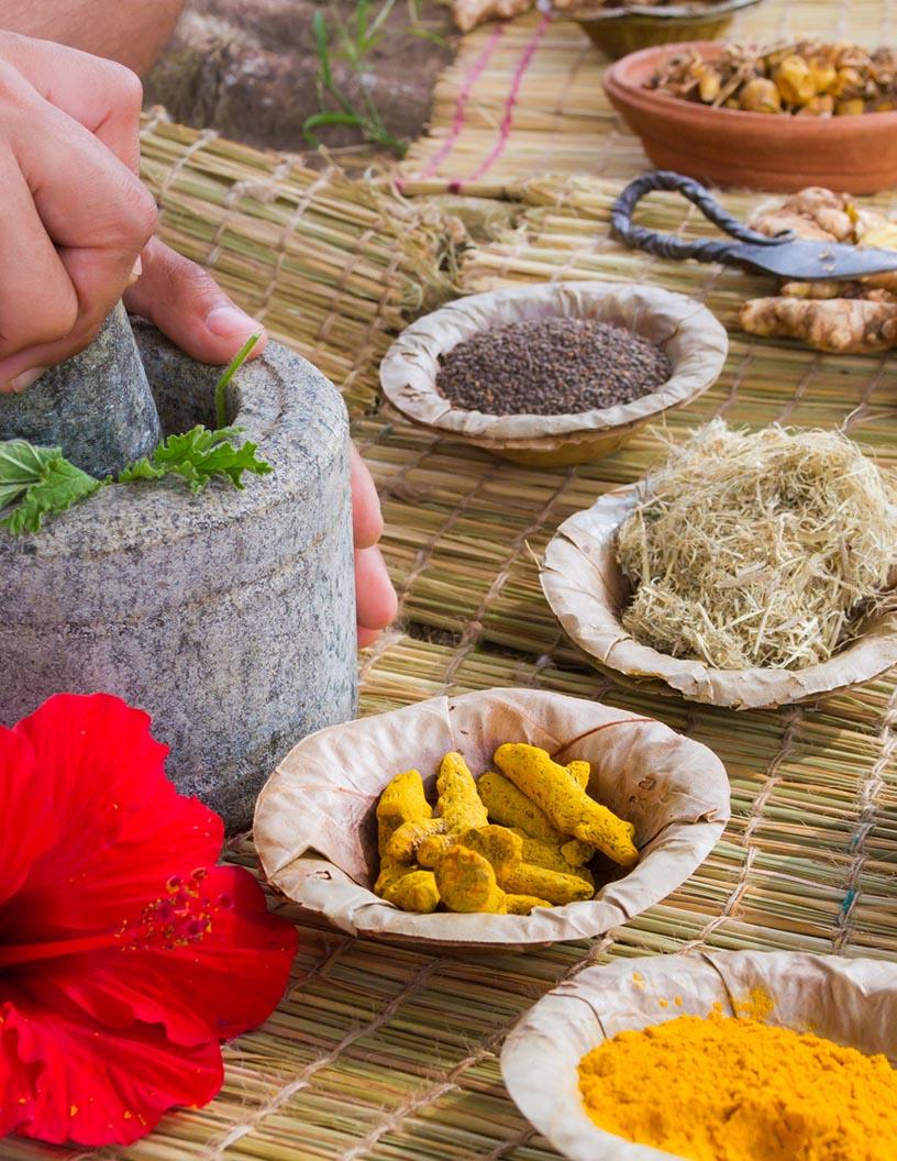 Global Ayurveda Market 2025-2029