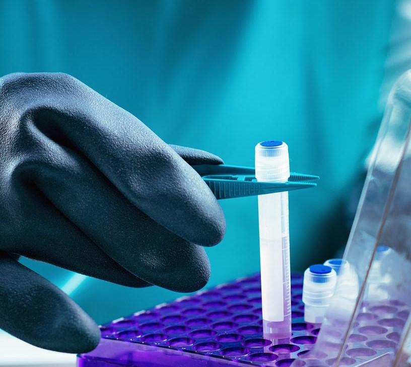 Global Stem Cell Banking Market 2025-2029