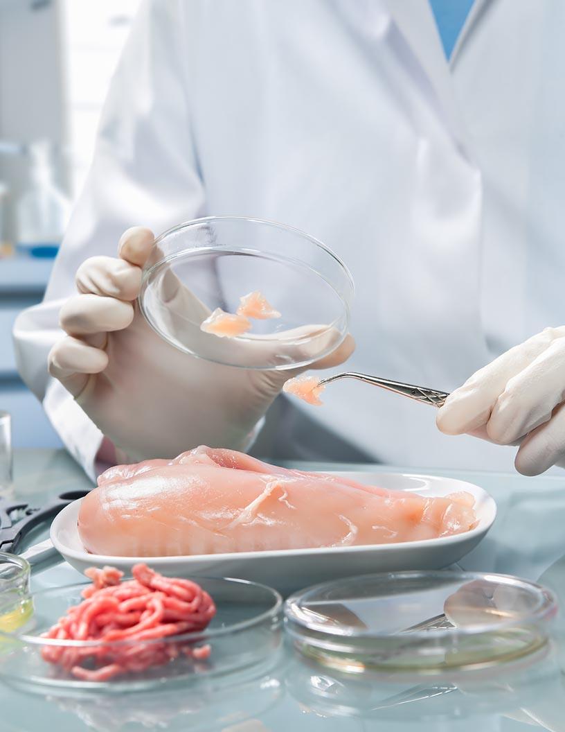 Global Microbial Products Market 2024-2028