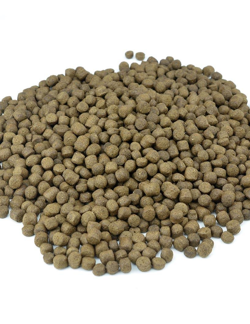 Global Fishmeal Market 2024-2028