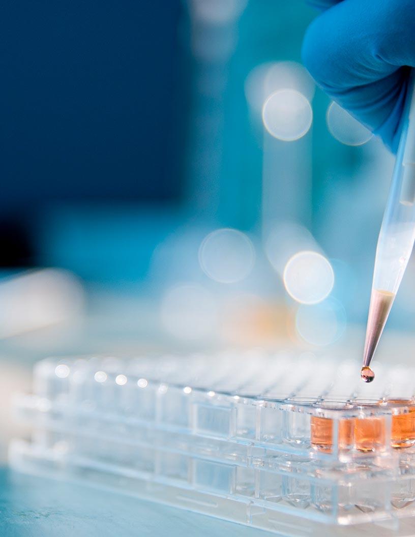 Global Small Molecule API Market 2024-2028