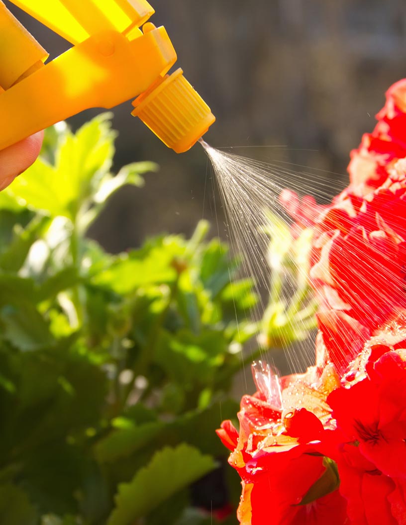 Global liquid fertilizer market 2024-2028