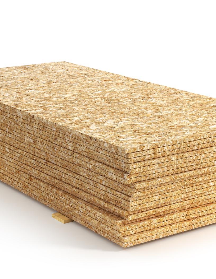 Particle Board Market in India 2024-2028