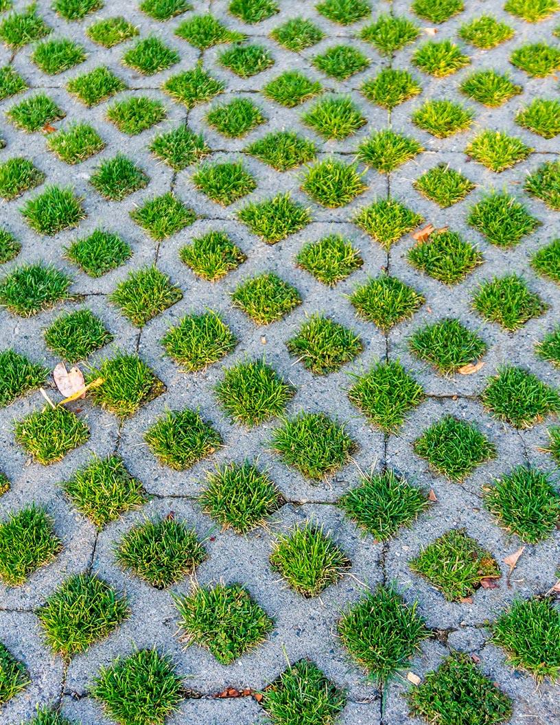 Global Pervious Pavement Market 2025-2029