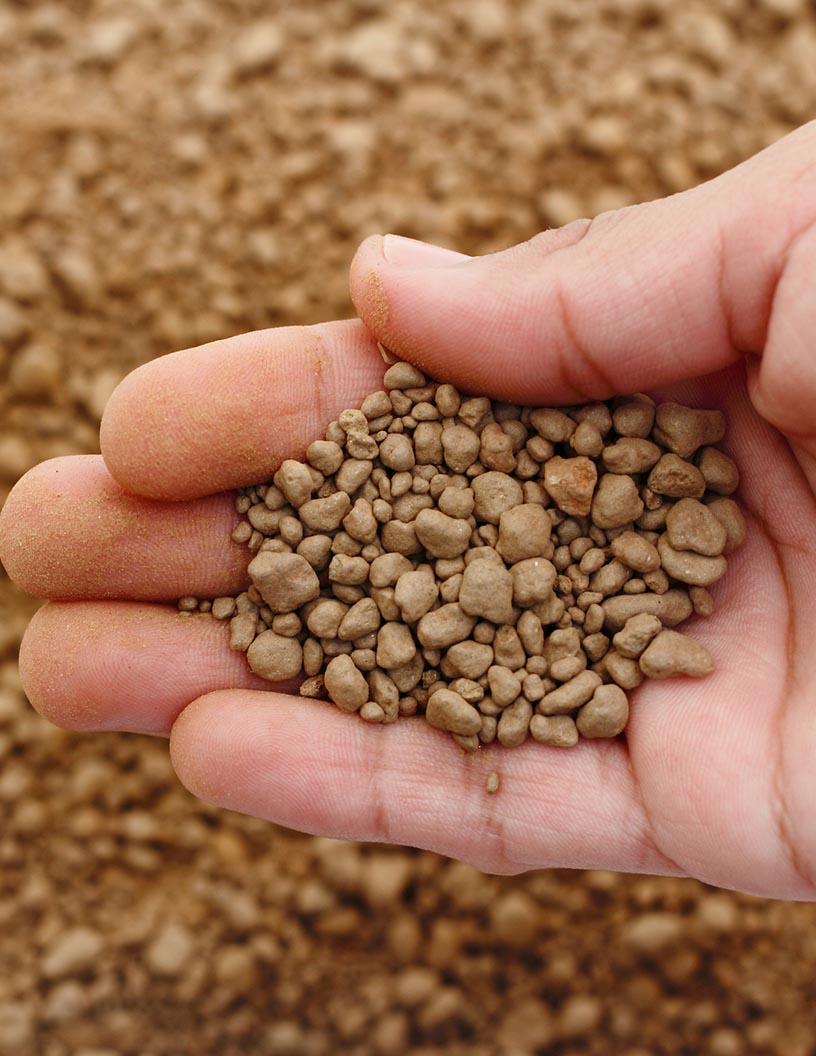 Global Phosphate Market 2024-2028