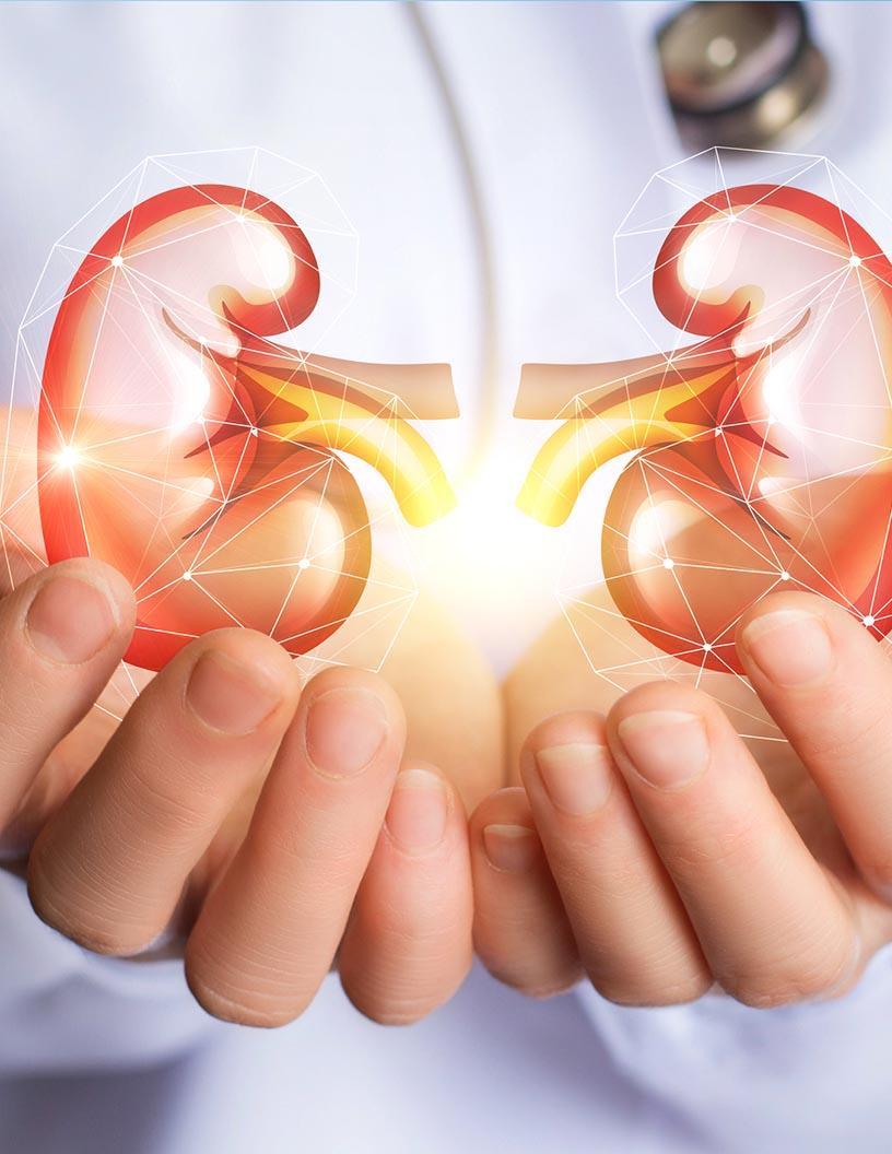 Global Renal Biomarkers Market 2024-2028