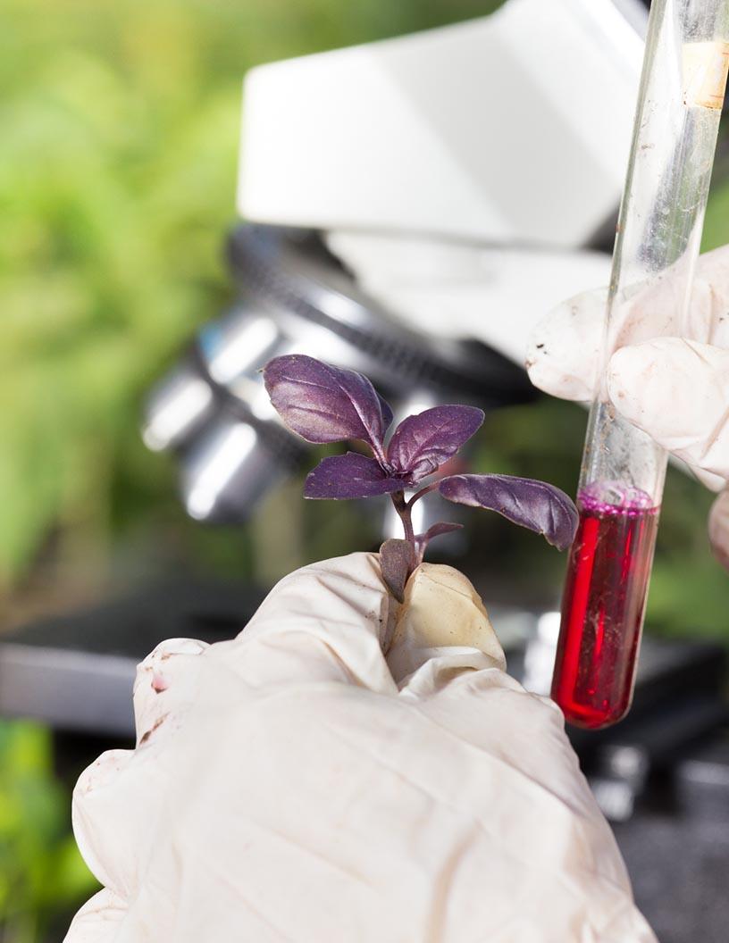 Global Biological Control Market 2024-2028