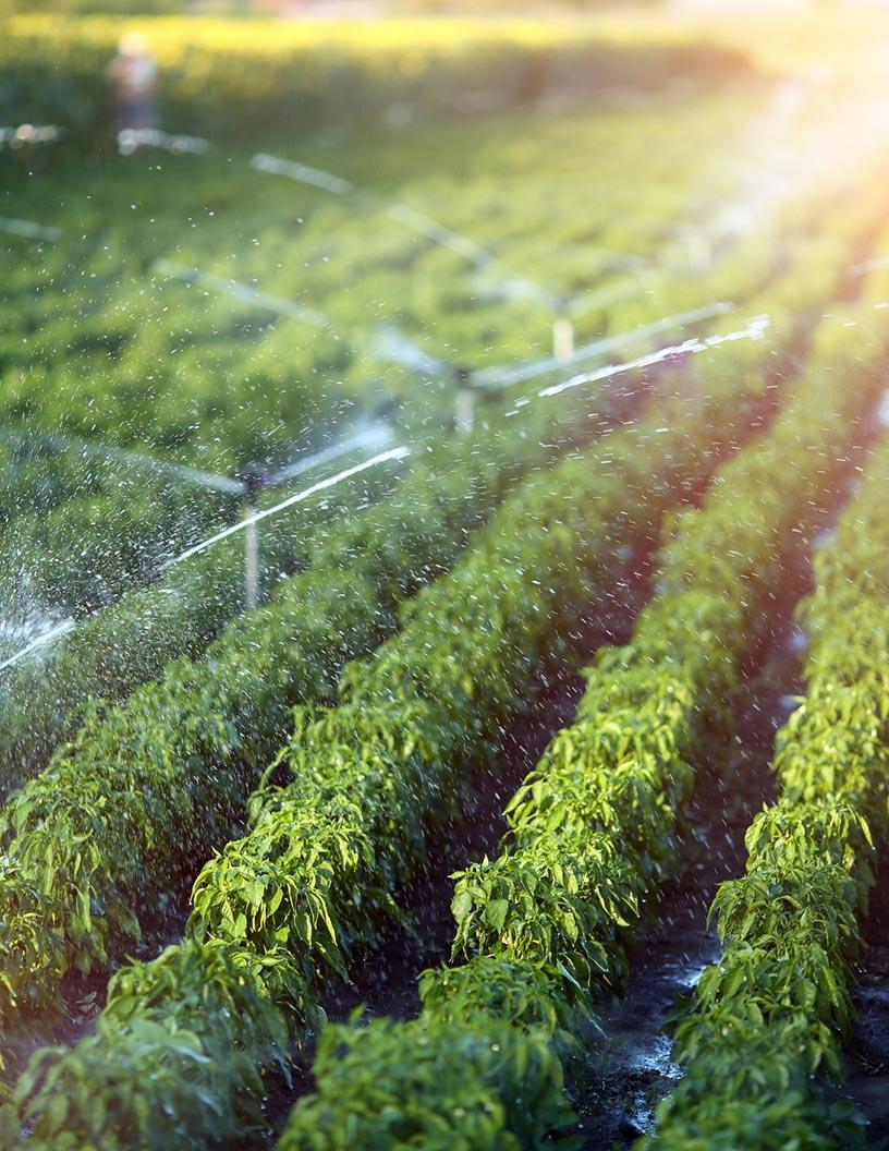 Agricultural Irrigation Machinery Market in US 2024-2028