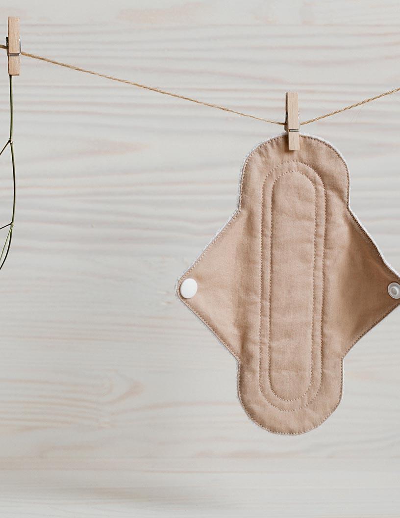 Global Organic Sanitary Napkins Market 2025-2029