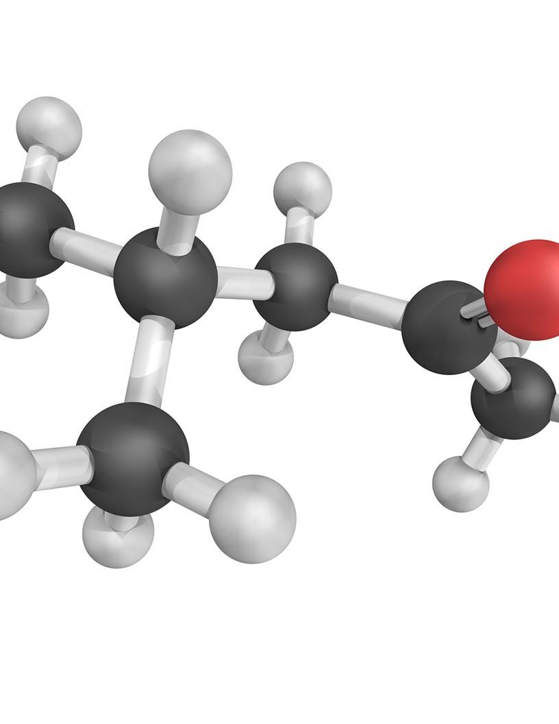 Global Methyl Isobutyl Carbinol (MIBC) Market 2024-2028