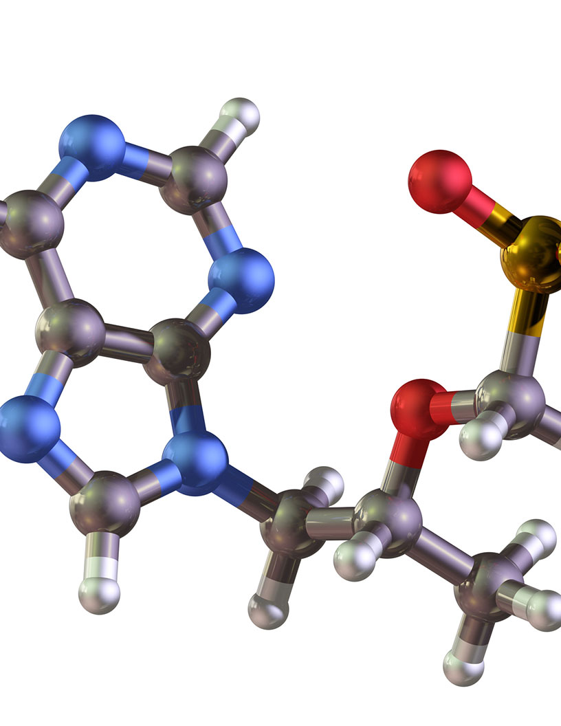 Arachidonic Acid Market in North America 2024-2028