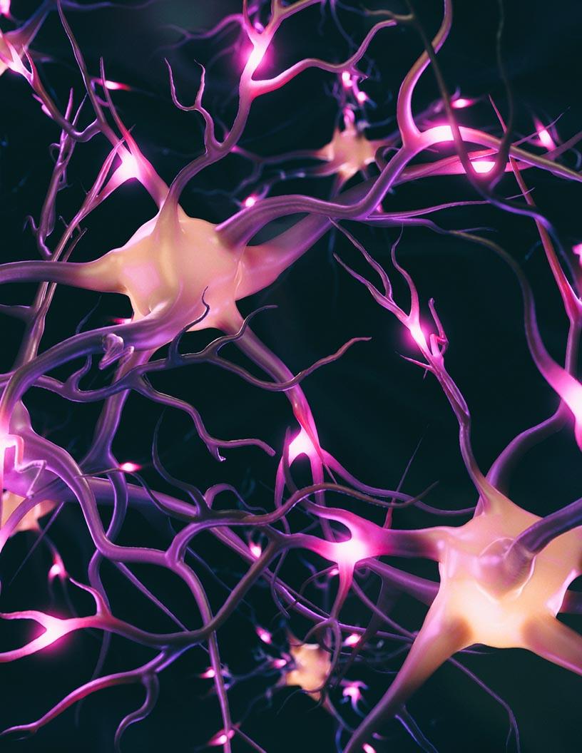 Global Central Nervous System (CNS) Stimulant Drugs Market 2025-2029