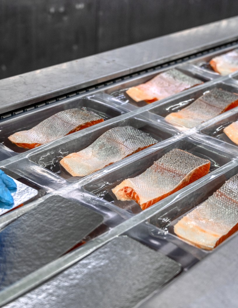 Global seafood processing equipment market 2024-2028