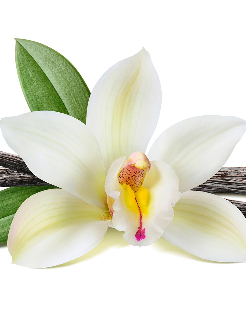 Global vanilla market 2024-2028