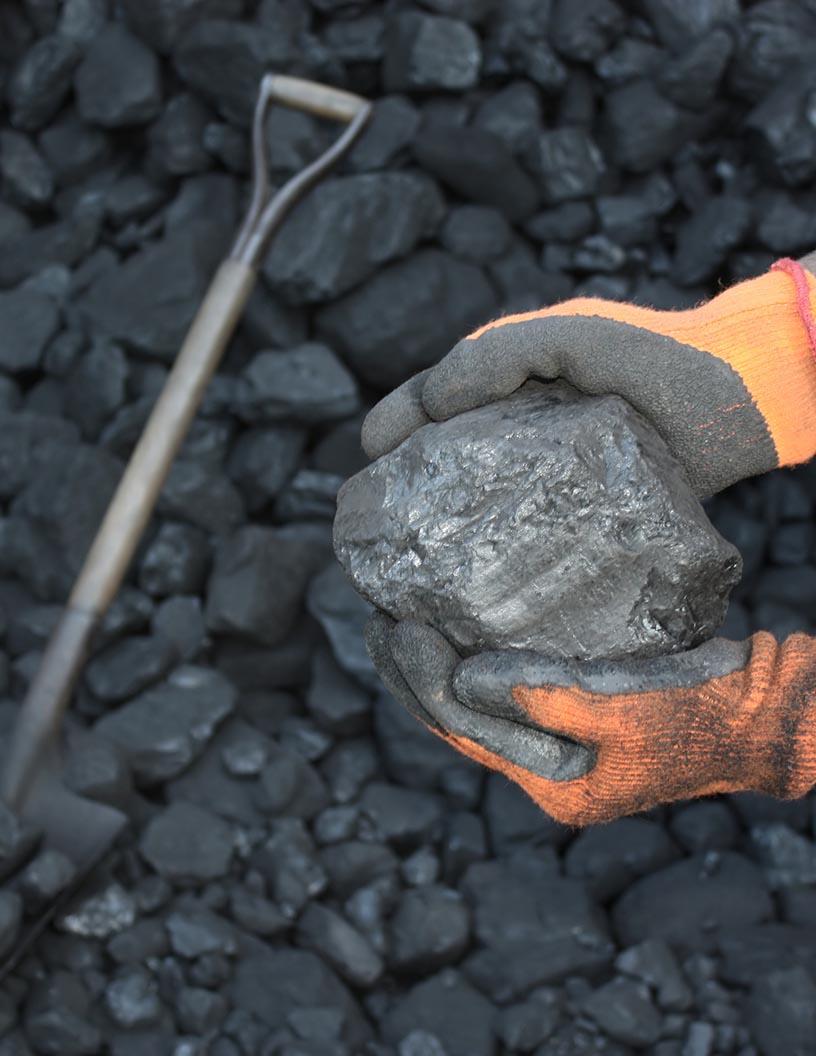 Global Charcoal Market 2025-2029