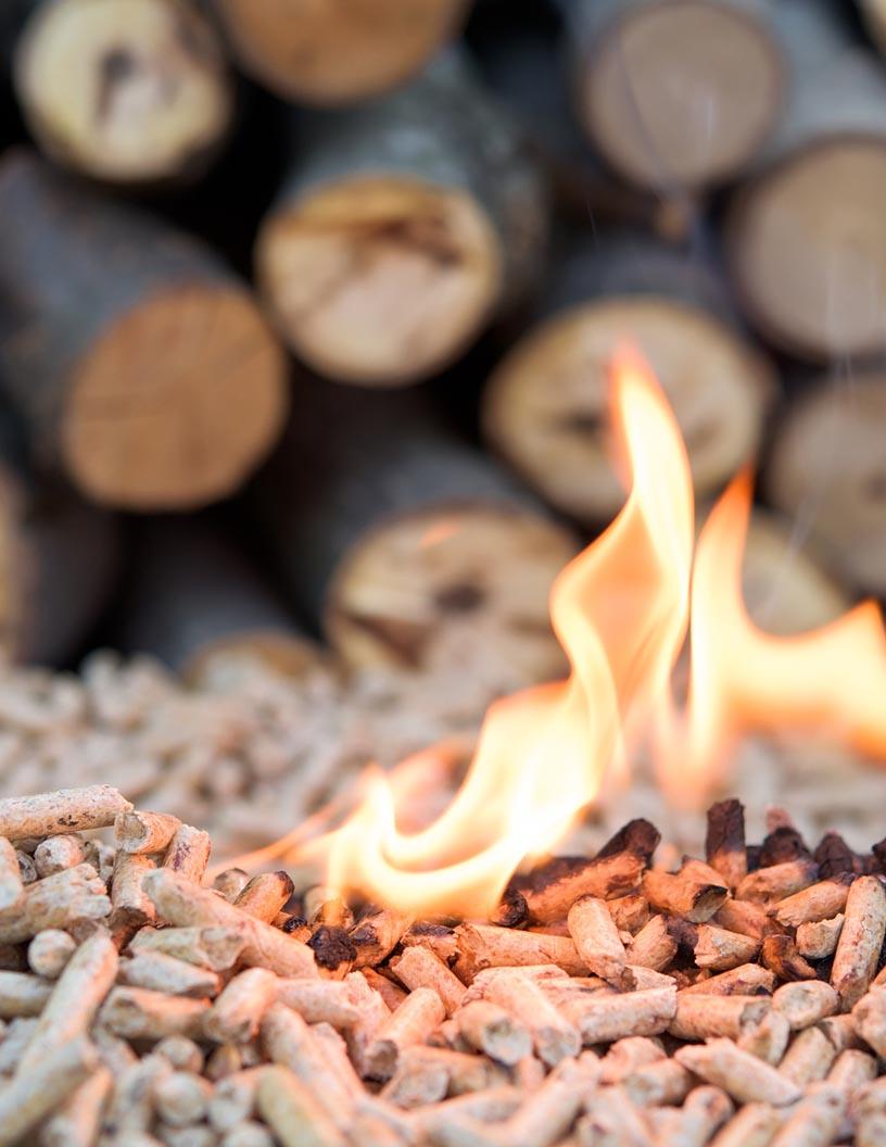Global Wood Pellets Market 2025-2029