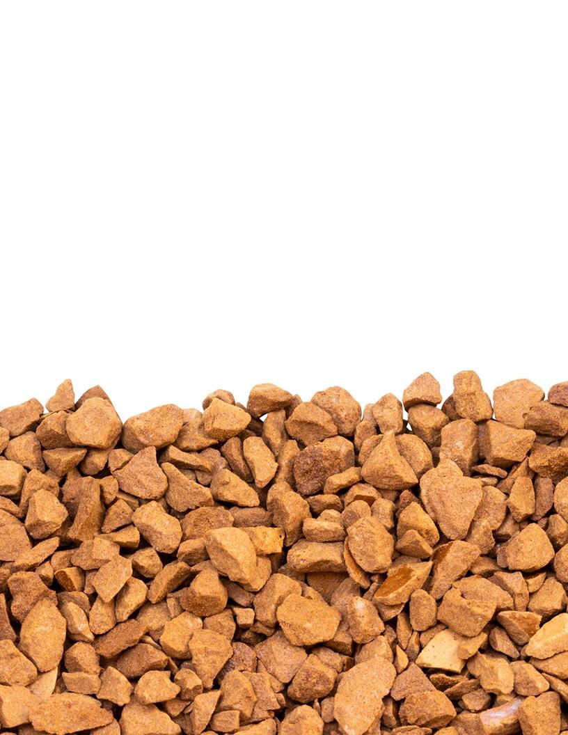 Global Freeze Dried Coffee Market 2025-2029