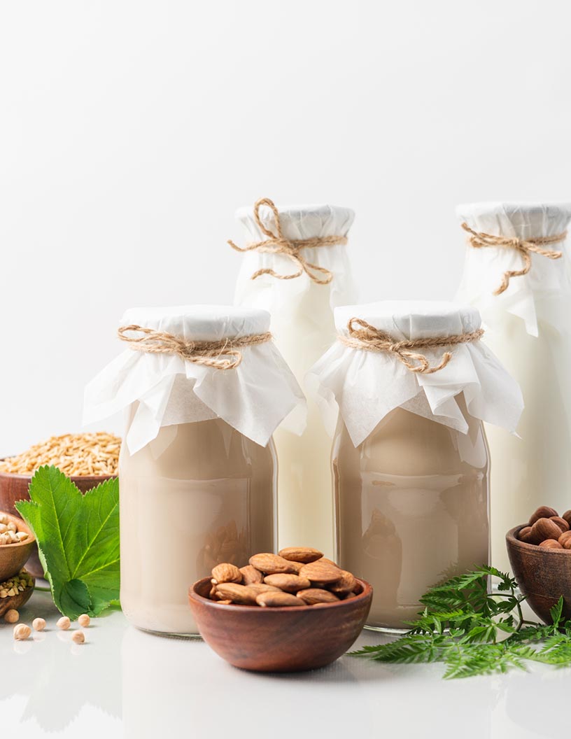 Global Plant-based Protein Products Market for Infants Market 2024-2028