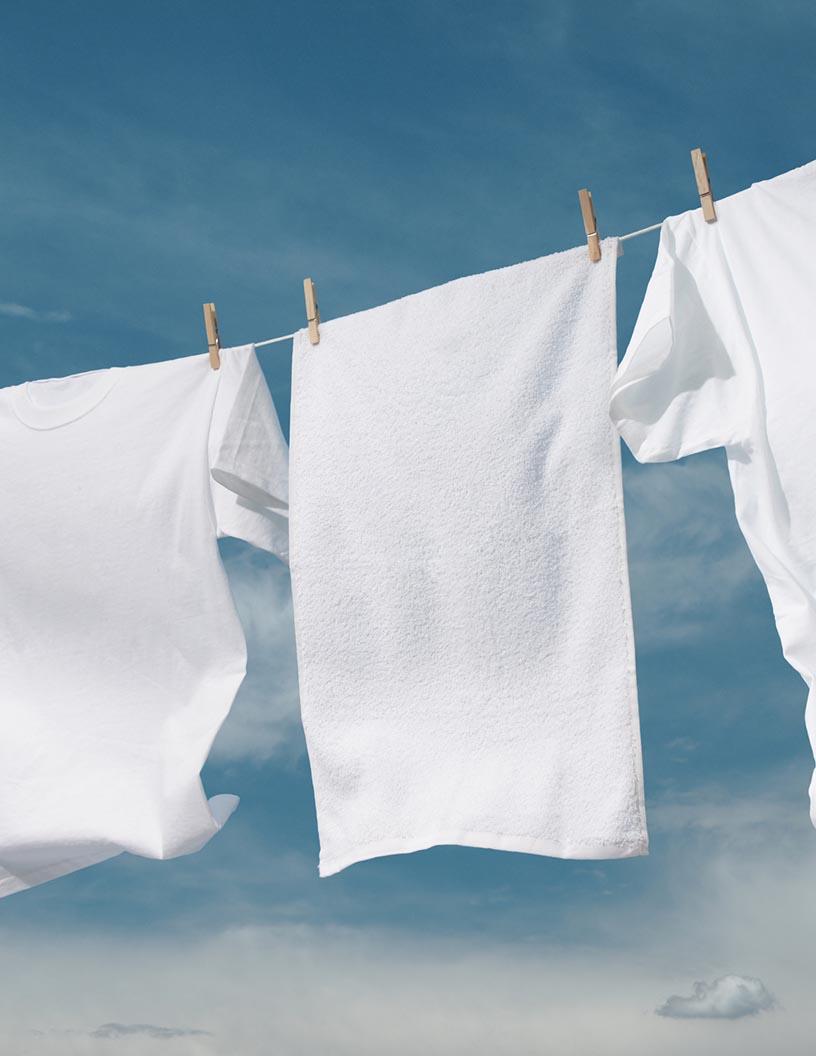 Global Clotheslines Market 2025-2029