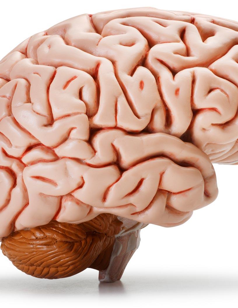 Global Neurophotonics Market 2025-2029