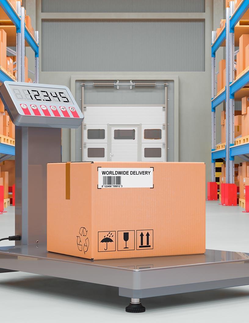 Global Industrial Weighing Machine Market 2025-2029