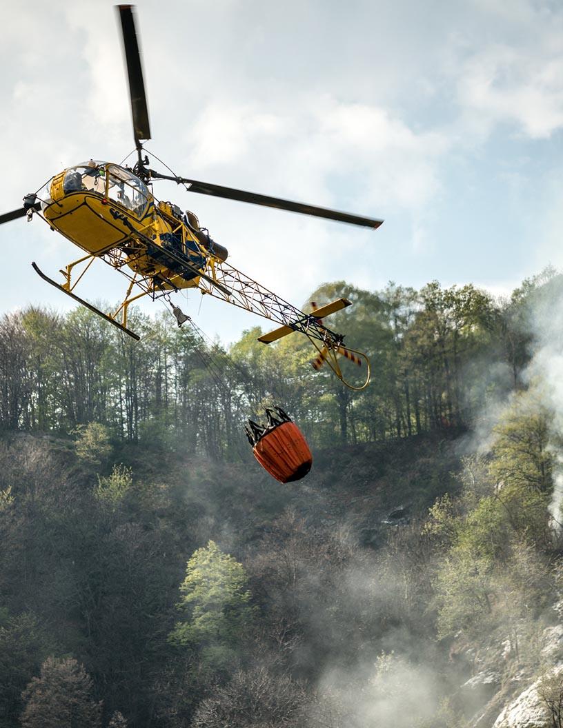 Global Disaster Relief Logistics Market 2025-2029