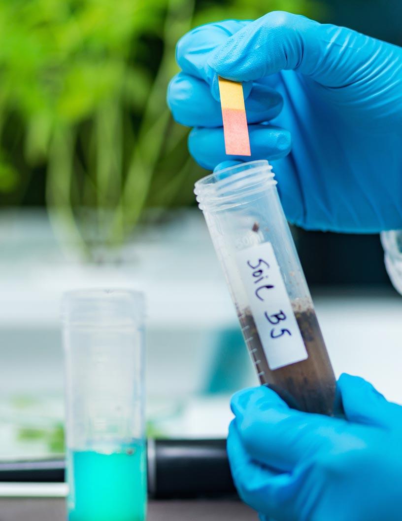 Global Environmental Testing Market 2024-2028