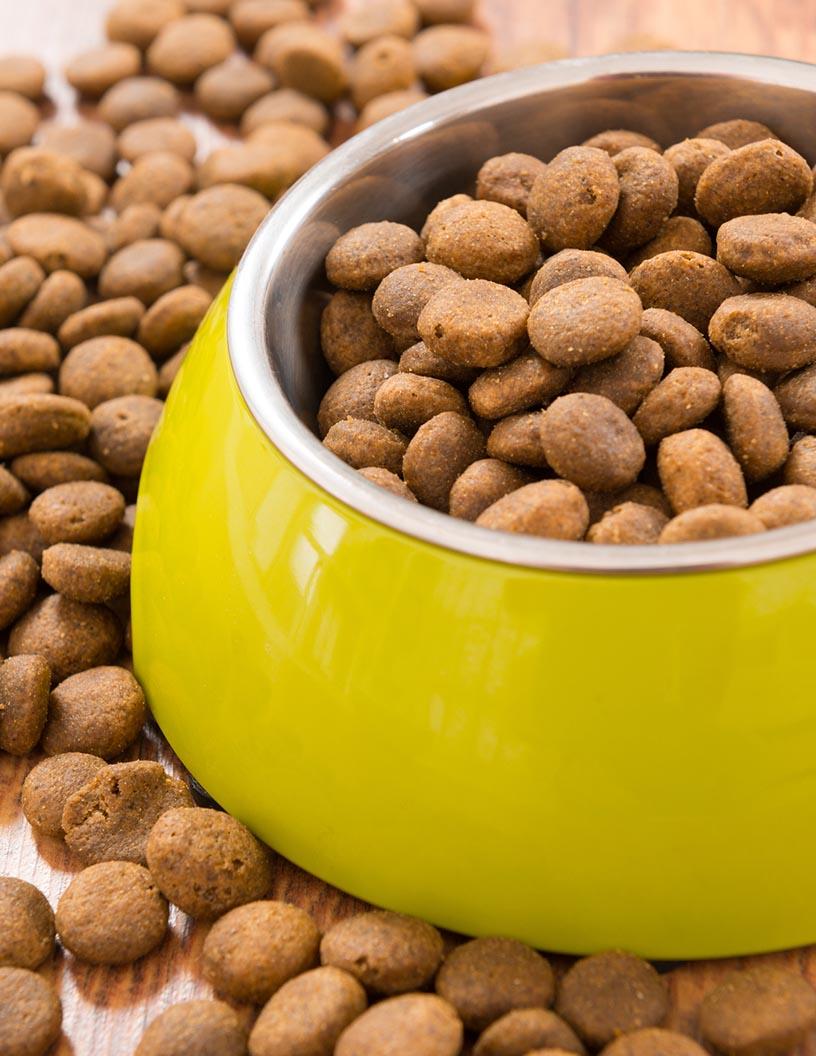 Pet Food Market in Taiwan 2025-2029