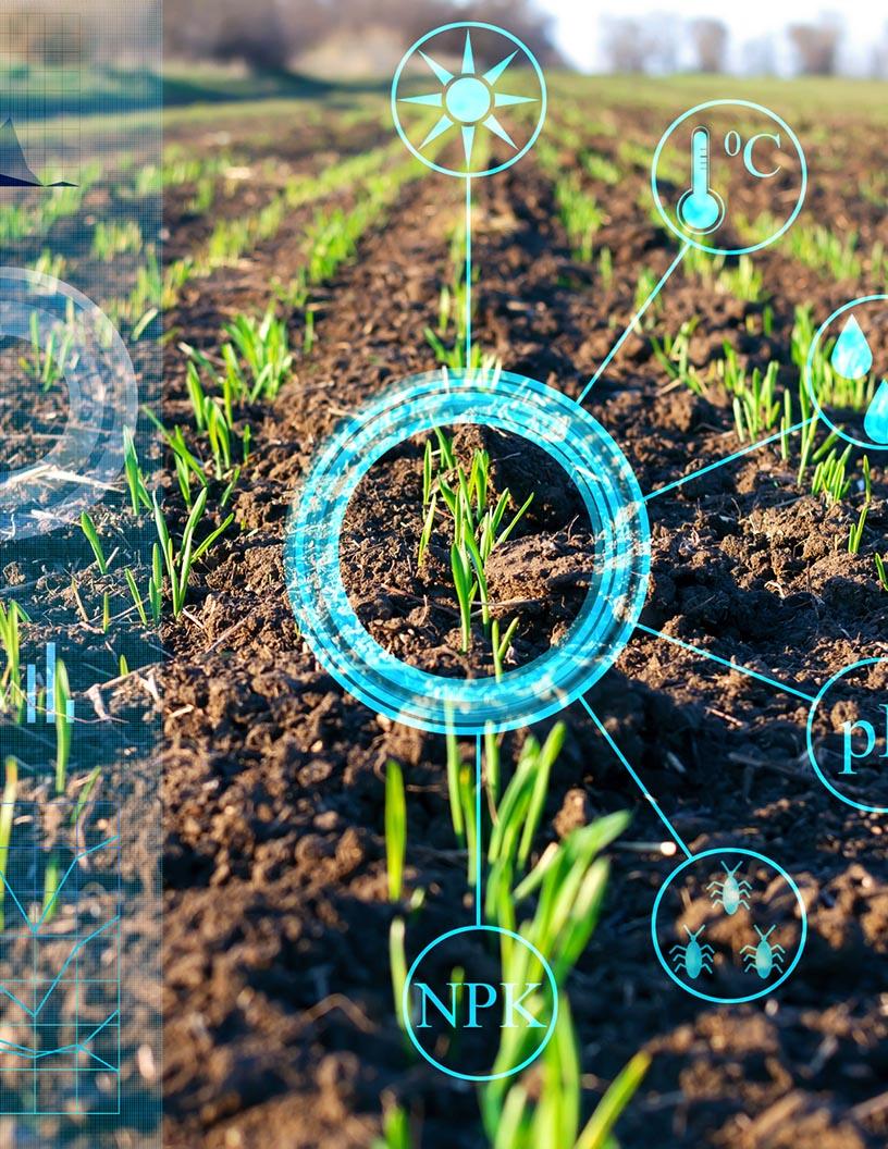Global Agricultural Adjuvant Market 2025-2029