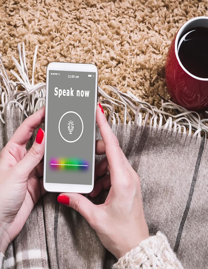 Global voice commerce market 2024-2028