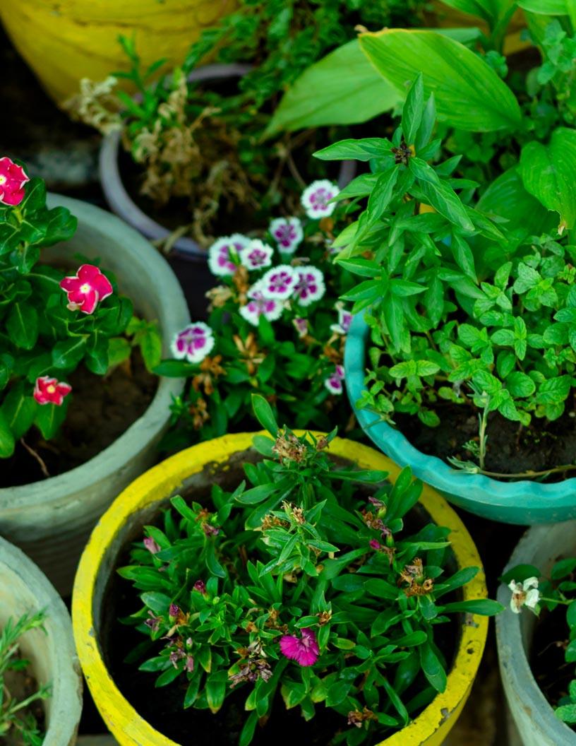 Global Flower Pots And Planters Market 2025-2029