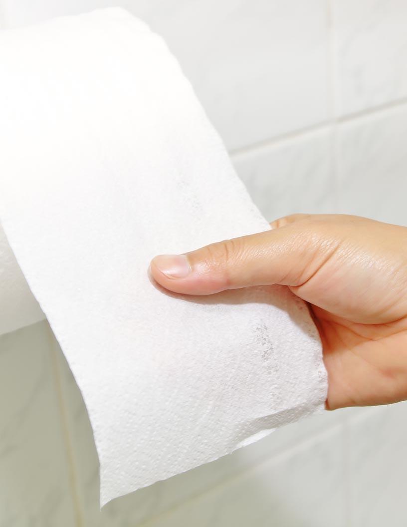 Global Toilet Paper Market 2025-2029