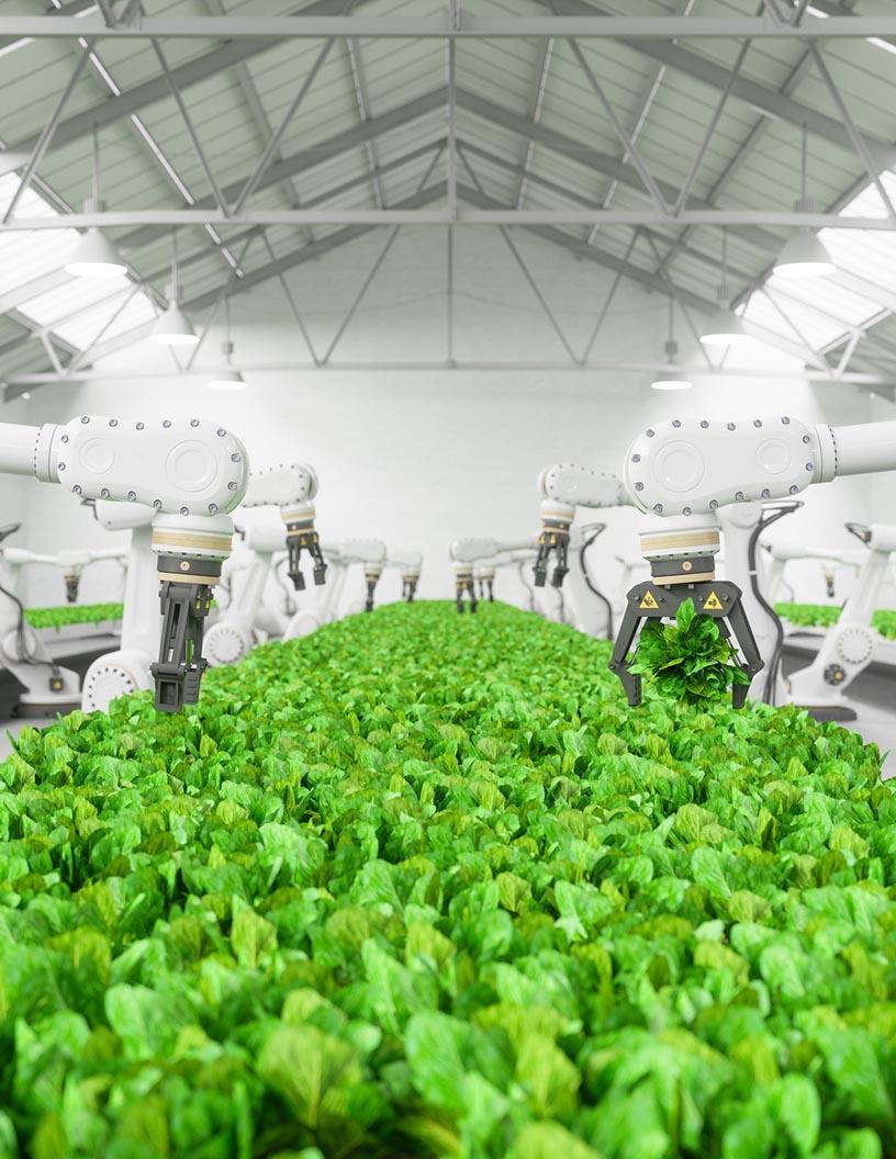 Global Smart Indoor Garden Systems Market 2025-2029