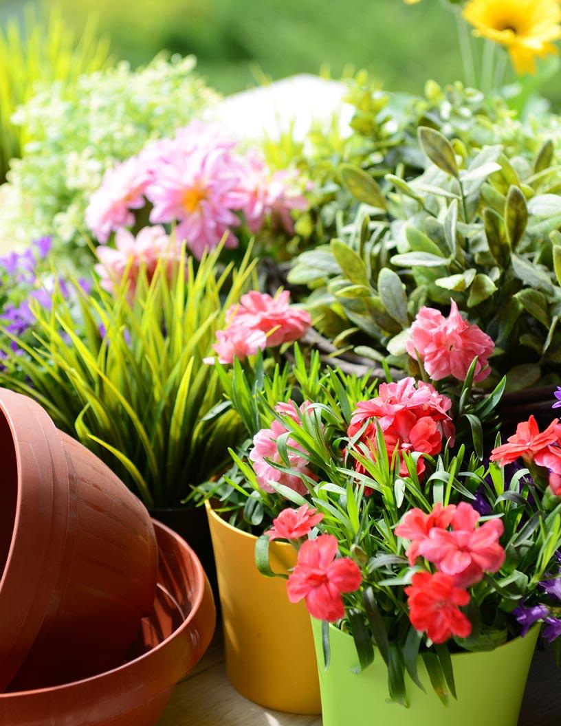 Floriculture Market in Vietnam 2025-2029