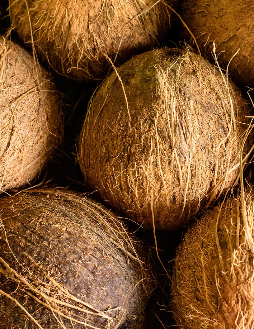 Global Copra Meal Market 2024-2028
