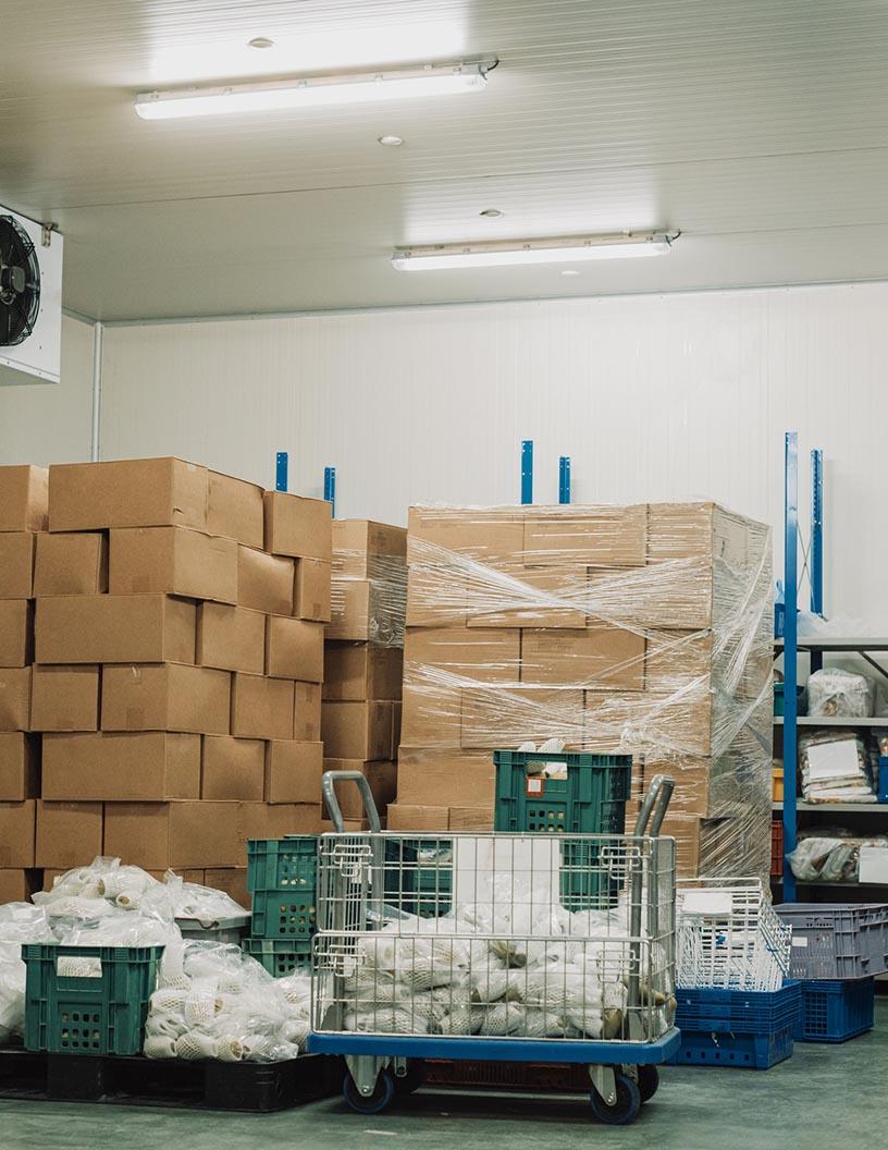 Cold Chain Logistics Market in North America 2024-2028