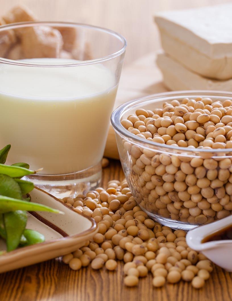 Global Soybean Derivatives Market 2025-2029