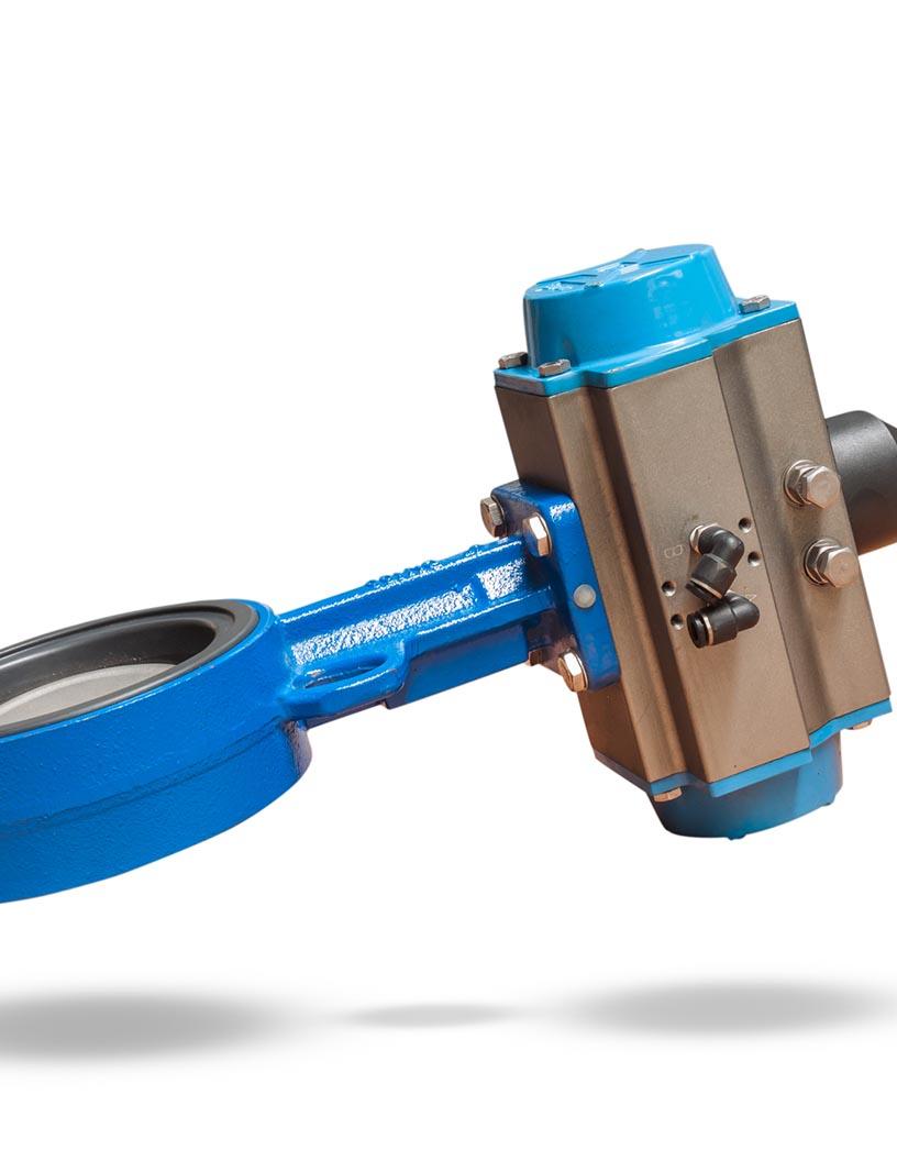 Global Butterfly Valve Market 2024-2028