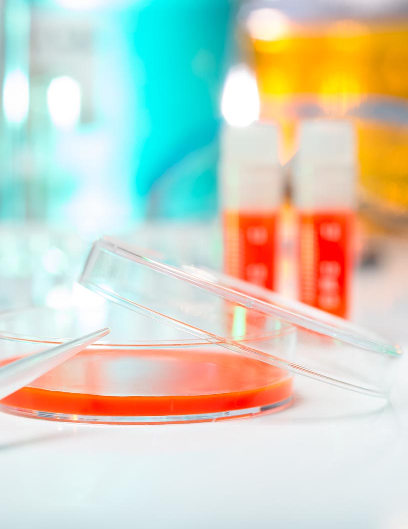 Global Transfection Technologies Market 2025-2029